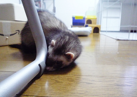 こんな隙間にはちょっとムリっぽいし