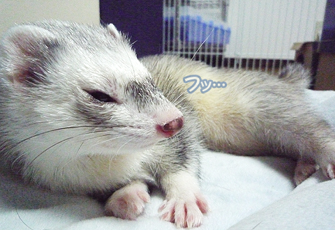 あぁ…もうダメかも…