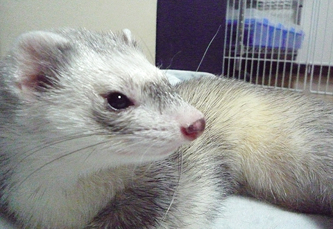 目は開いてるんですが…