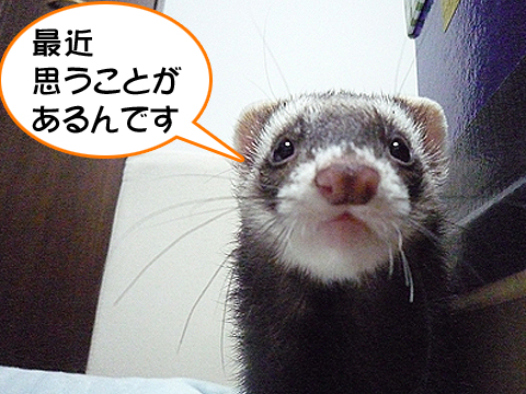 最近思うんです