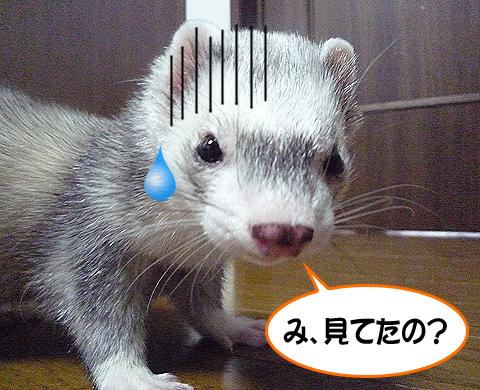 恥ずかしいですヨ。