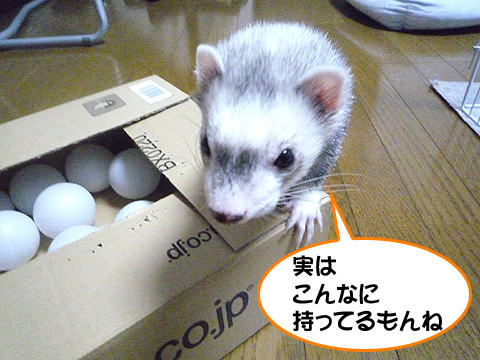 ハルには内緒だよ