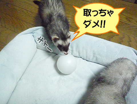 もう、タロウ兄ちゃんったら…