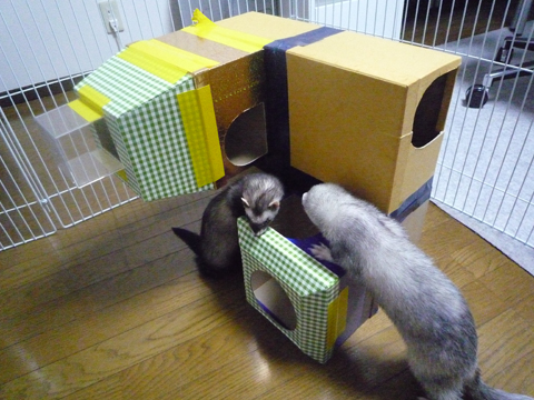 ハル、押さえて押さえて！