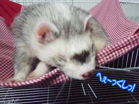 へぇーっくしっ！