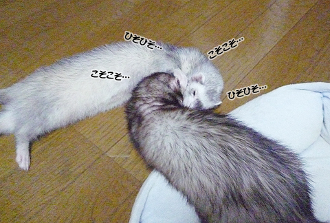 こそこそ…ひそひそ…