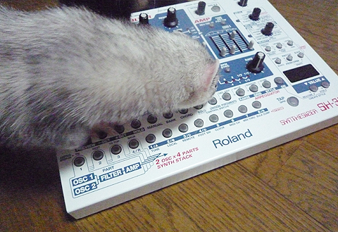 時間の無駄でした