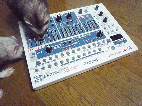 なんか面白くないなぁ…