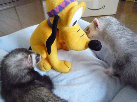 誰だ、この黄色いの