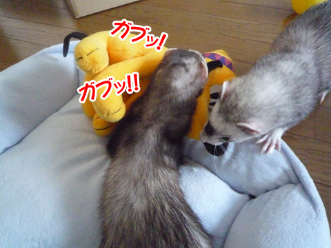 どうだ、降参しろ