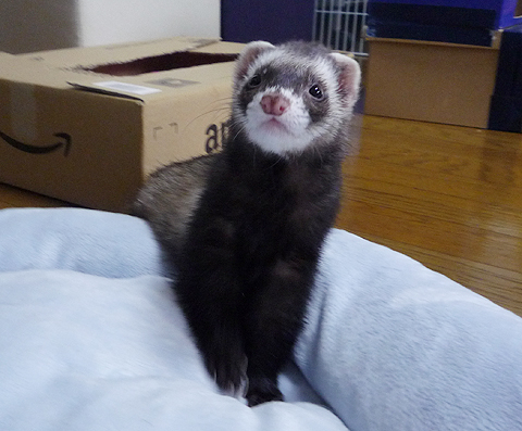 凛とした表情もいいでしょ