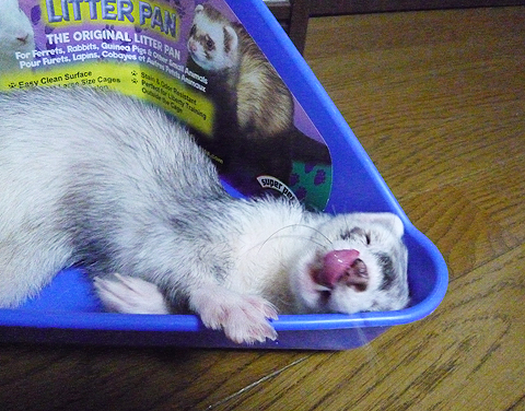 ボクもまだ子どもだったんですね