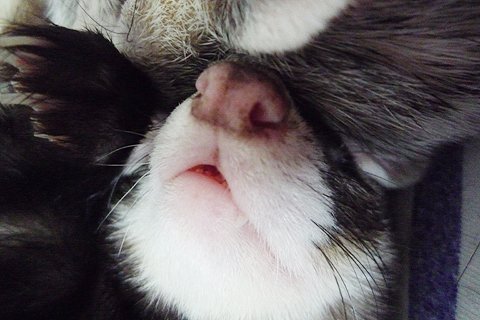 (ただのアホづらです)