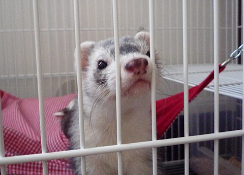 遊んで、遊んで?！