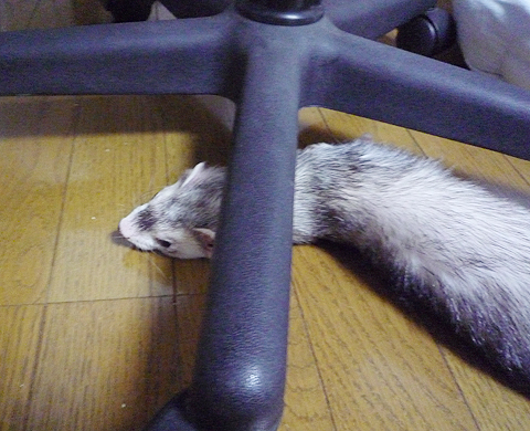 なんか落ち着くんだよね