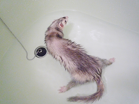 いきなりなにするんですか！