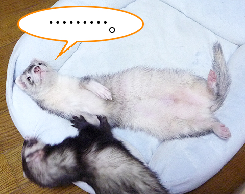 ちょっと、どうしたのよ？