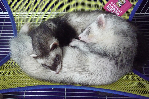 どこがいいかな…