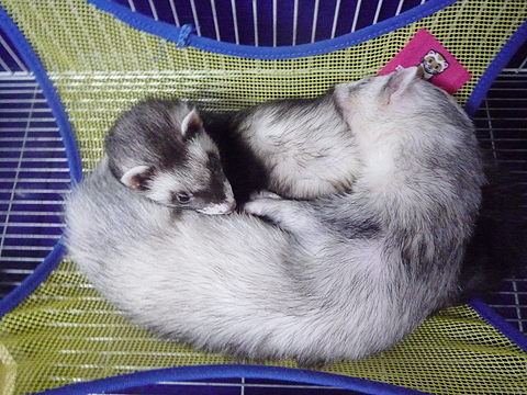 ウ?ンちょっと重いなぁ