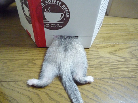 ちょっと窮屈ですね