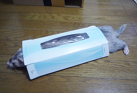 モゾモゾモゾ…