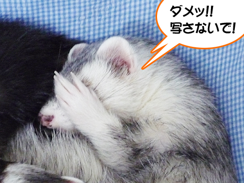 写メはやめてください！