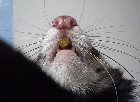 見つかっちゃたよぉ