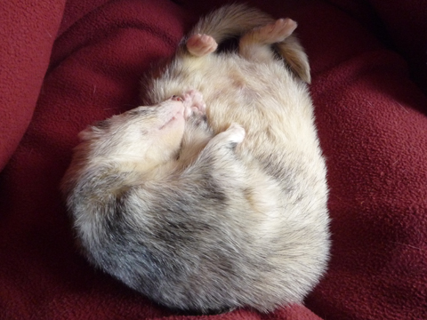 ポッカポカですよ