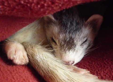 ここはどこかな?