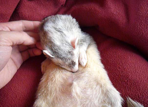 眠ってる間にボクは何をされてるんでしょう？