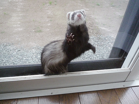 なんにもないよ?