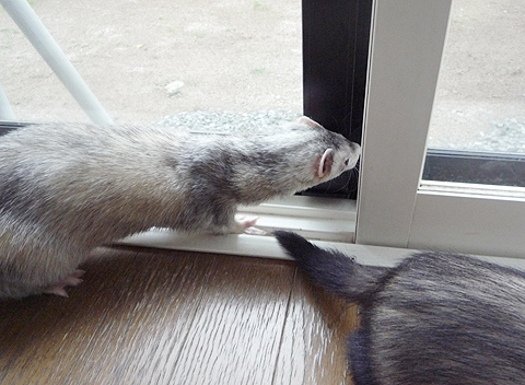 ちょっとムリかなぁ？