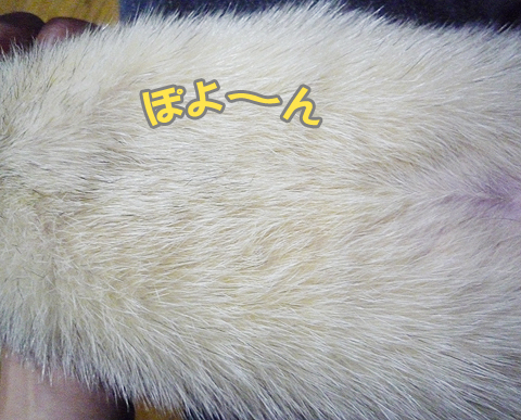 ぽよ?ん