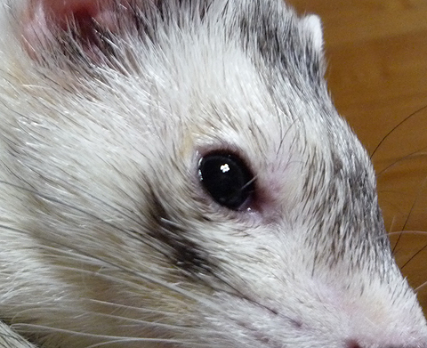 もうわかったでしょ