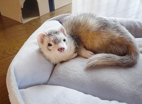 どうも、タロウです。