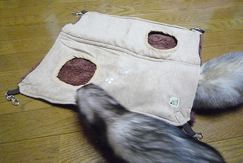 それ?チェック開始?！！