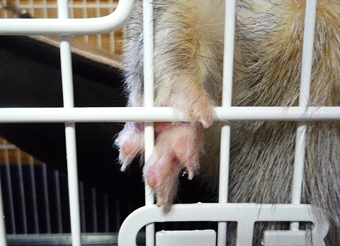 結構しっかり踏ん張ってます