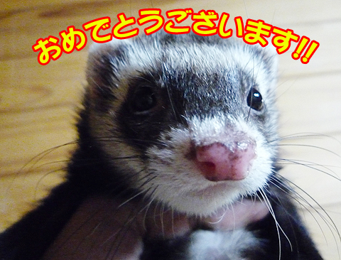 おめでとうございます