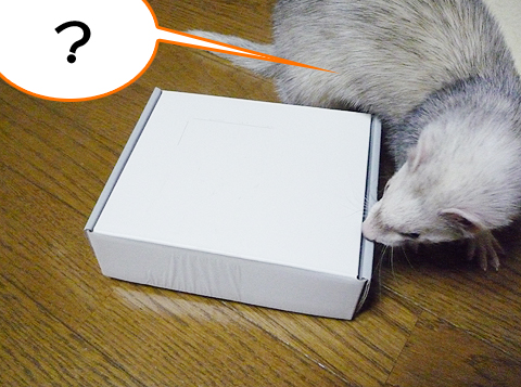 この箱はなんでしょう