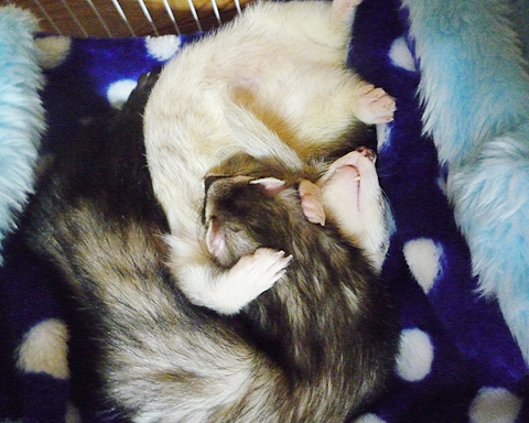 ちょっとわざとらしくね？